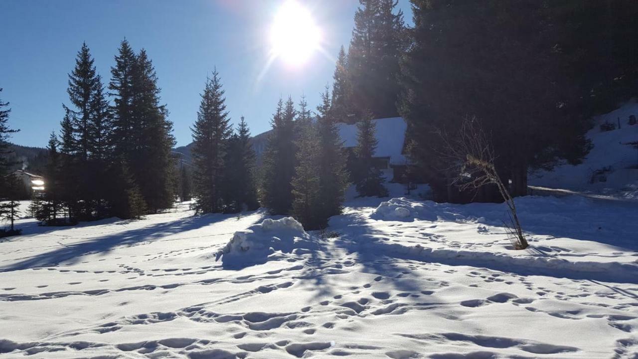 Willa Auszeithuette Flattnitz Zewnętrze zdjęcie